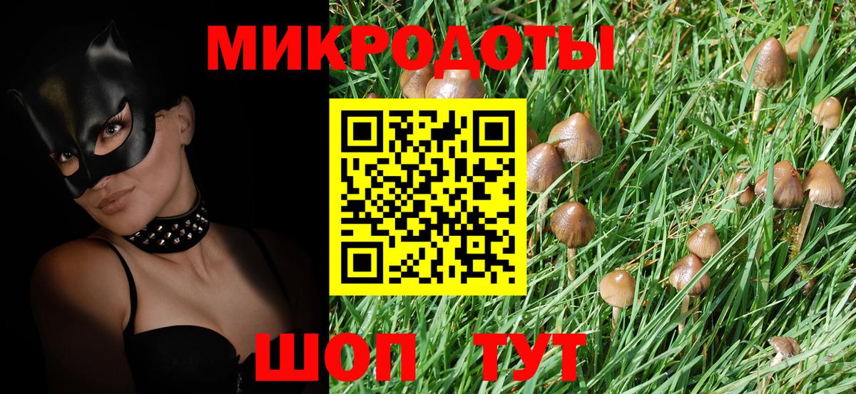 Боровичи  Галлюциногенные грибы Cubensis  Вход с VPN 