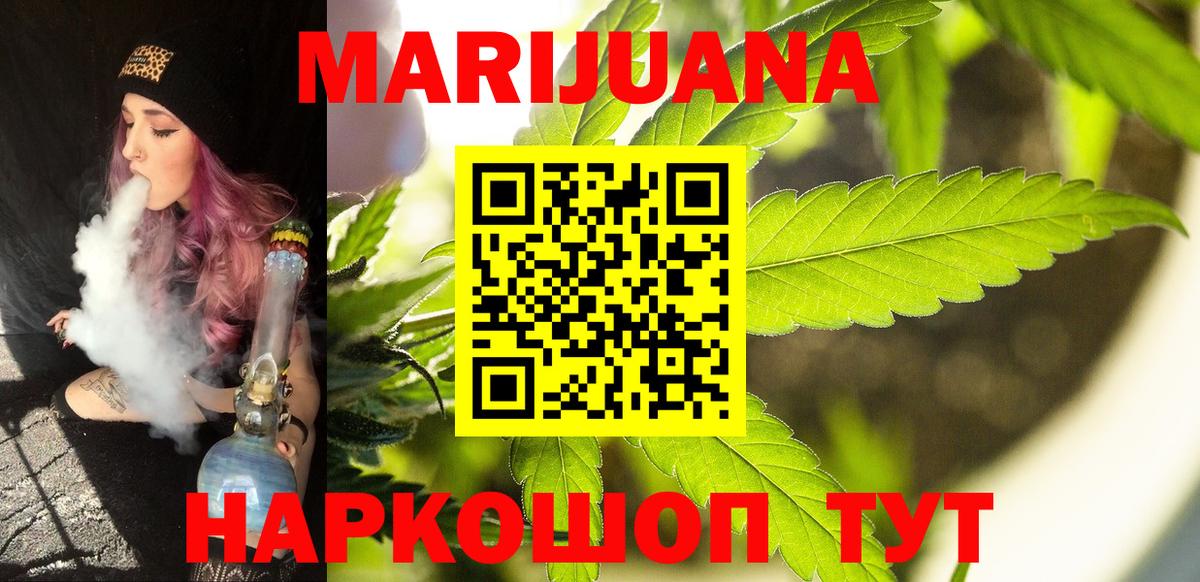 Конопля гибрид Боровичи